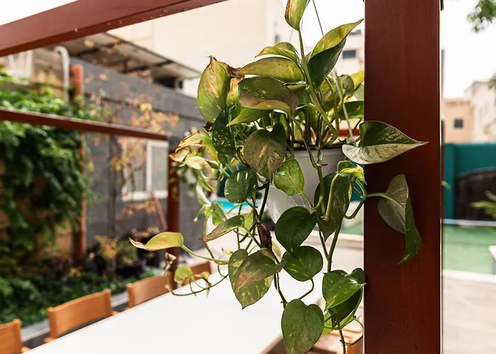 Penthouse 9 At Palazzo Seraphim Boutique Living In St Julians Gæstehus Saint Julian's